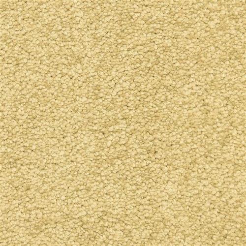 Morgan Bay in Bronze Carpet