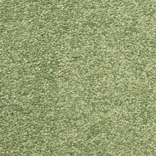 Morgan Bay in Pine Grove Carpet