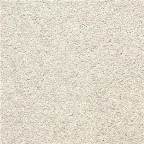 Morgan Bay in Grey Moon Carpet