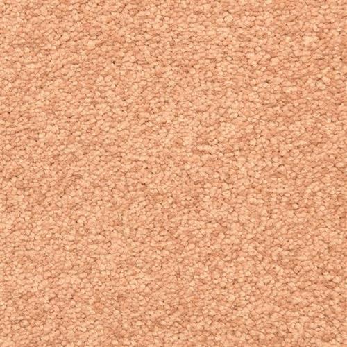 Morgan Bay in Copper Carpet