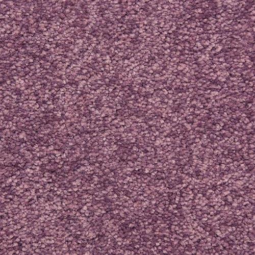 Morgan Bay in Cupcake Carpet