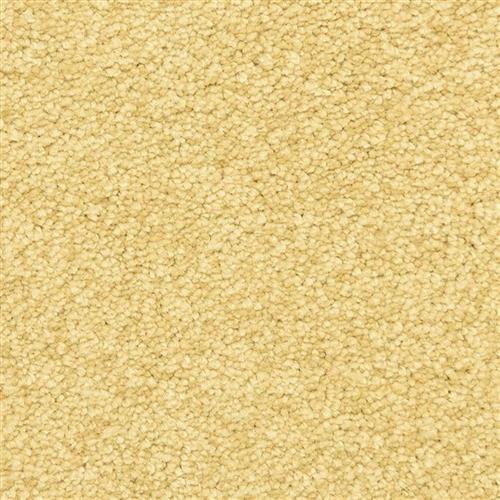 Vero Beach in Cheshire Carpet
