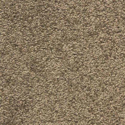 Vero Beach in Lodge Carpet