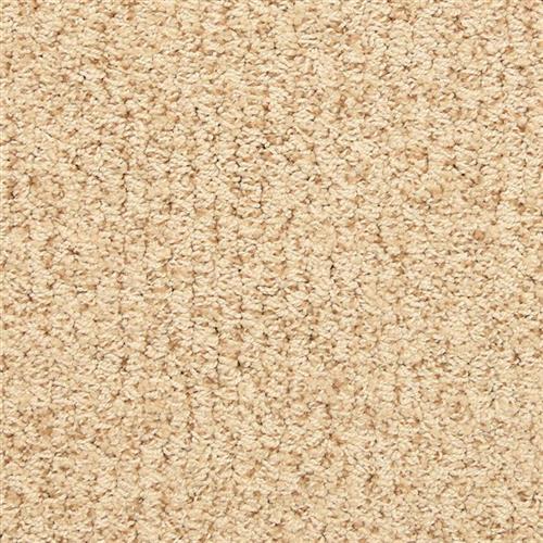 Sea Grass in Rum Runner Carpet