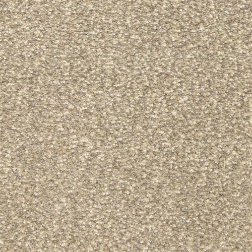 This and That in Pebbles Carpet