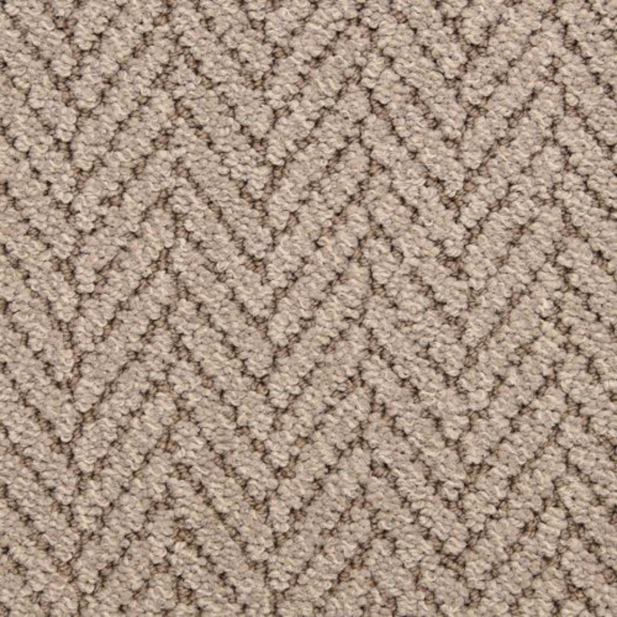 Distinguished in Seagull Carpet