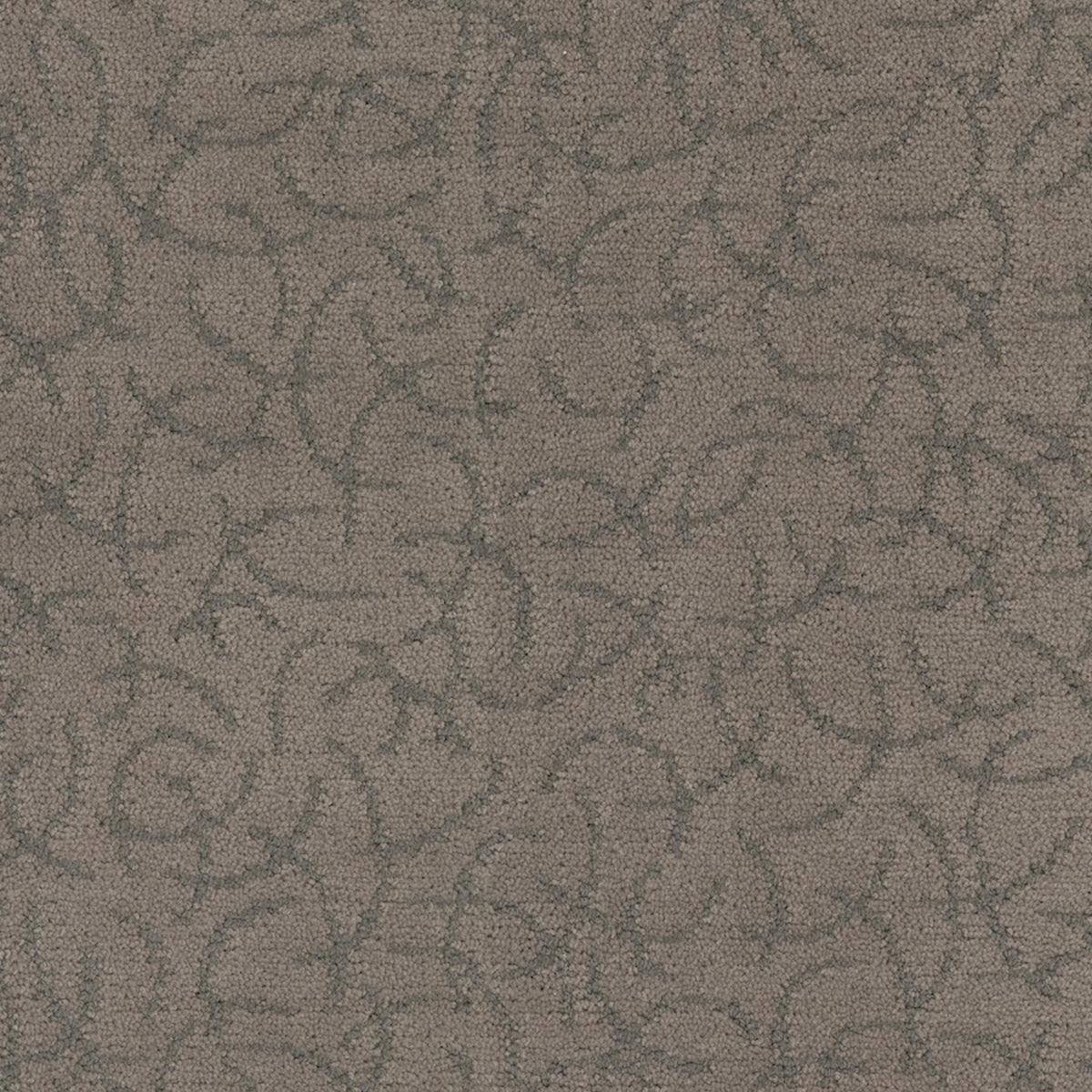 Altair in Celestial Carpet