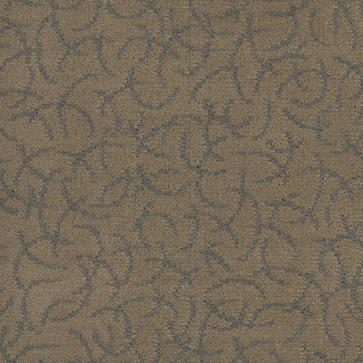Altair in Supernova Carpet