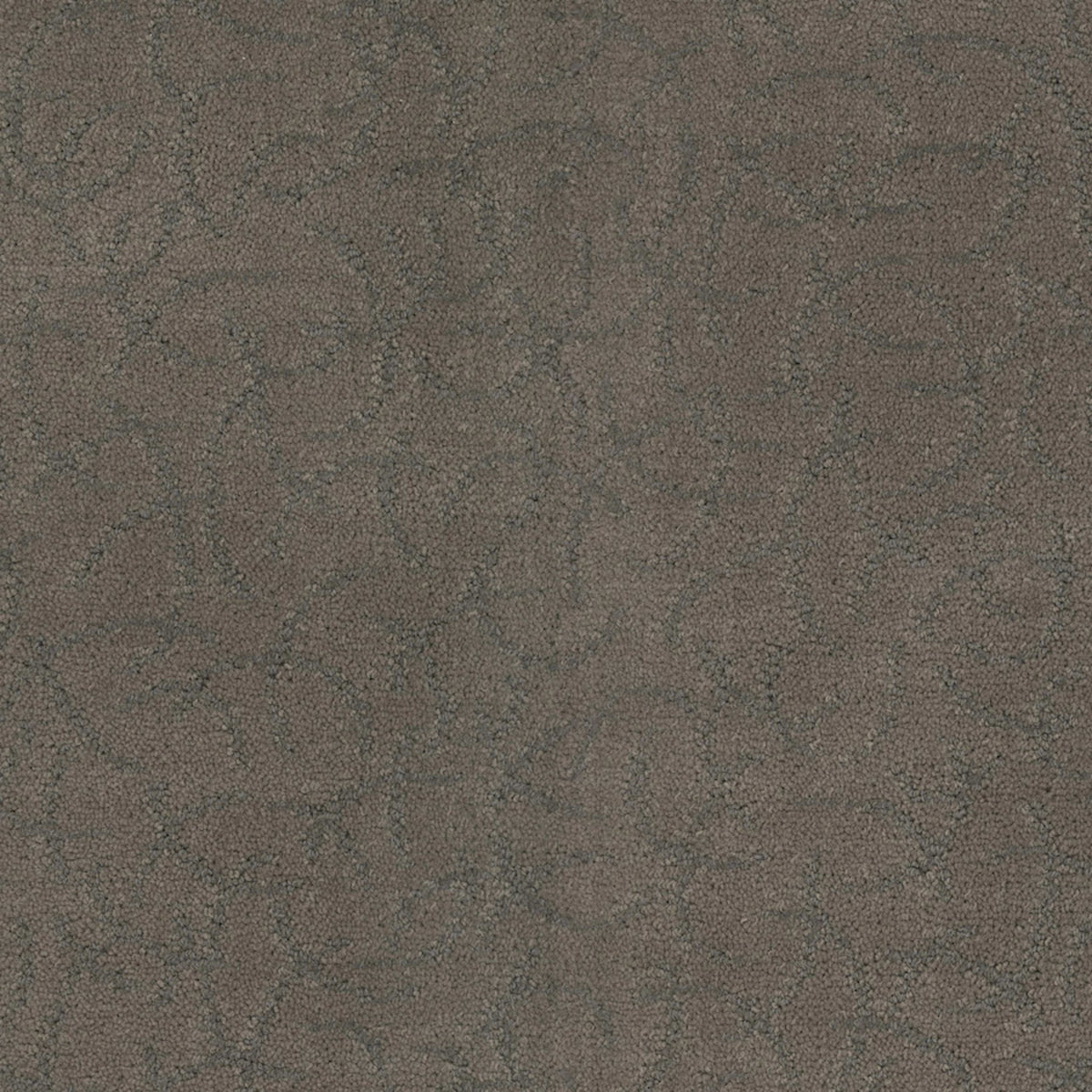 Altair in Planet Carpet