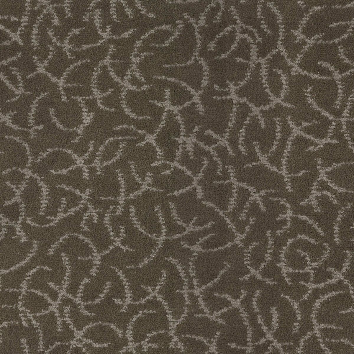 Altair in Terrestrial Carpet