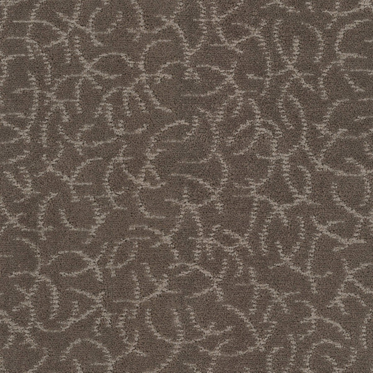 Altair in Universe Carpet