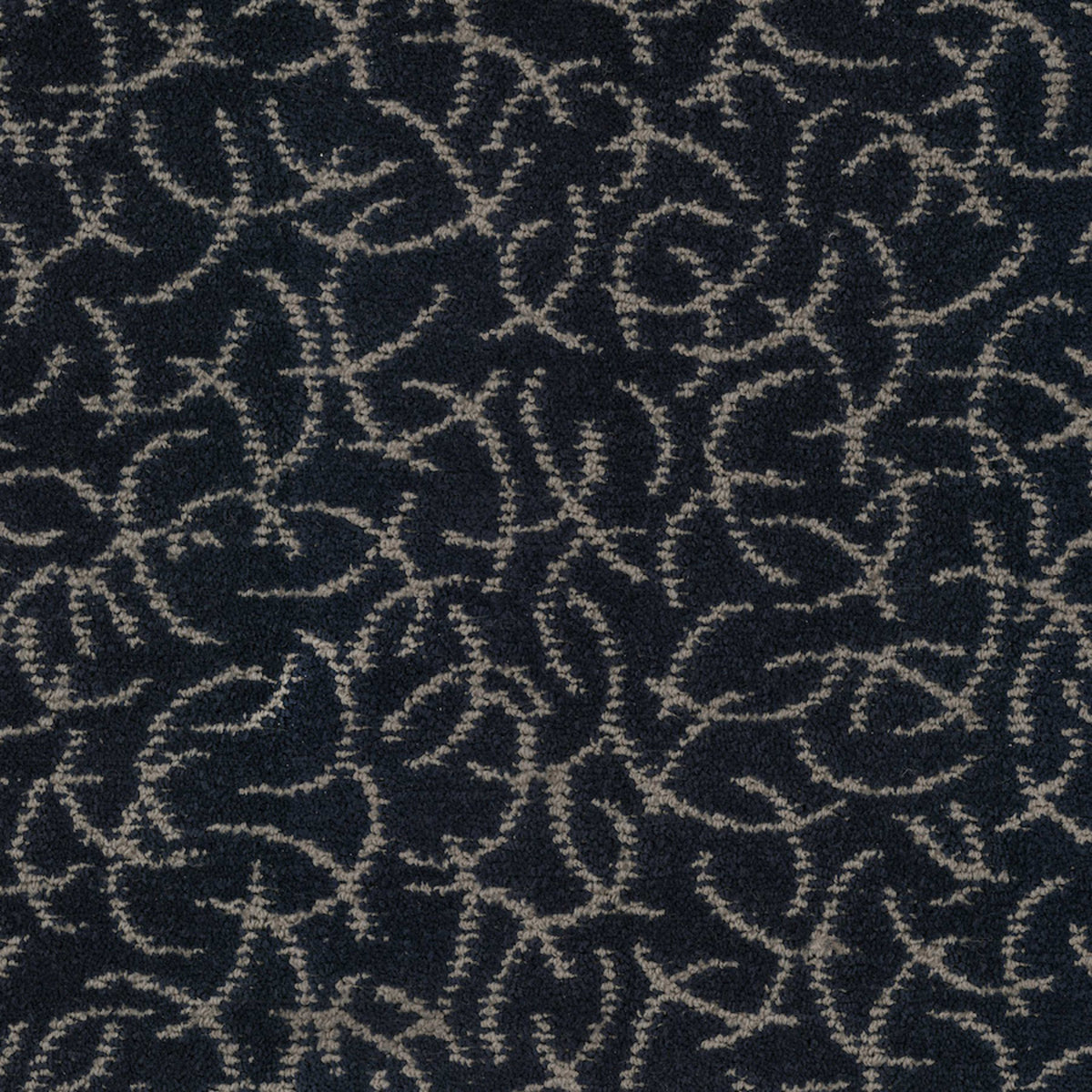 Altair in Outer Space Carpet