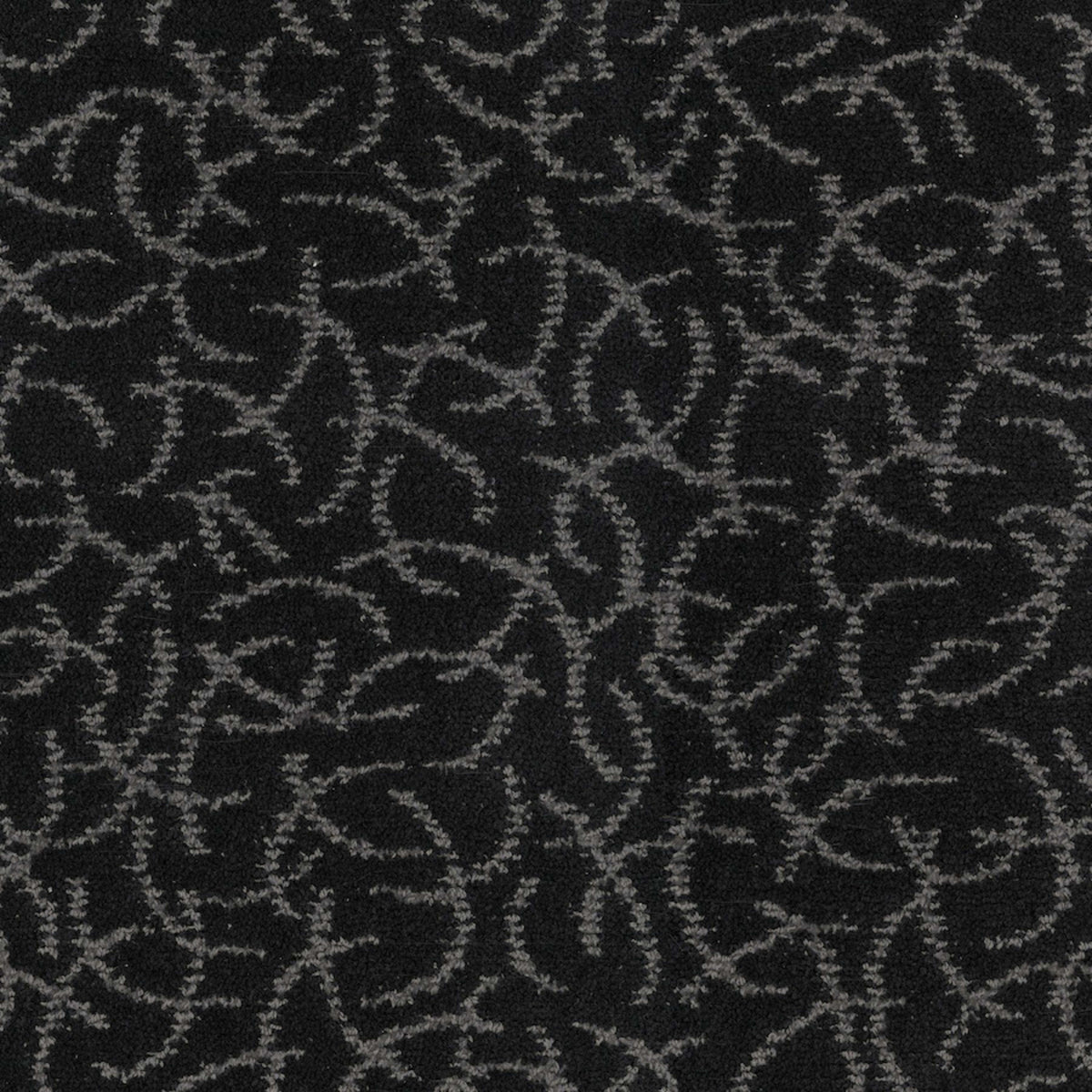 Altair in Black Hole Carpet