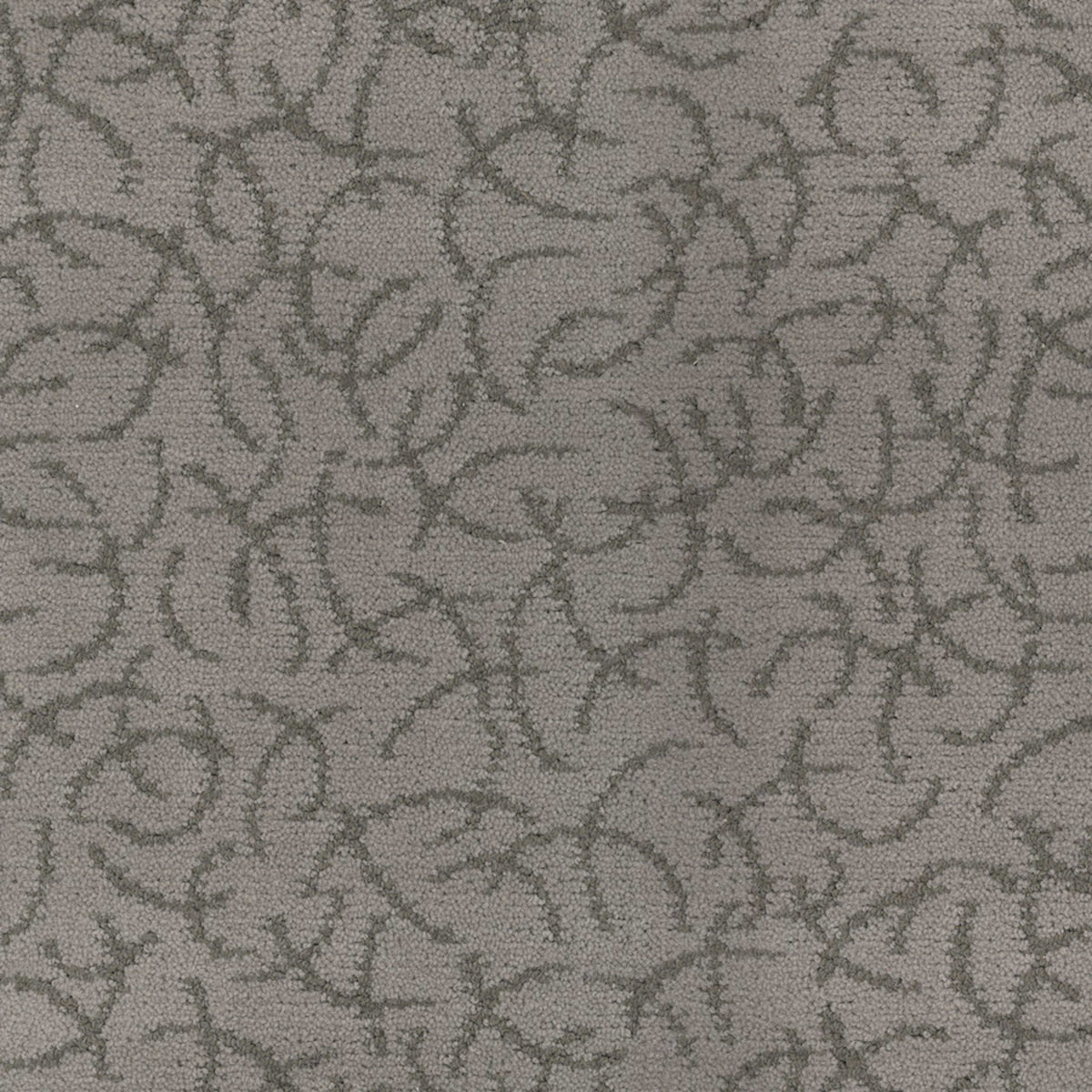 Altair in Meteor Carpet