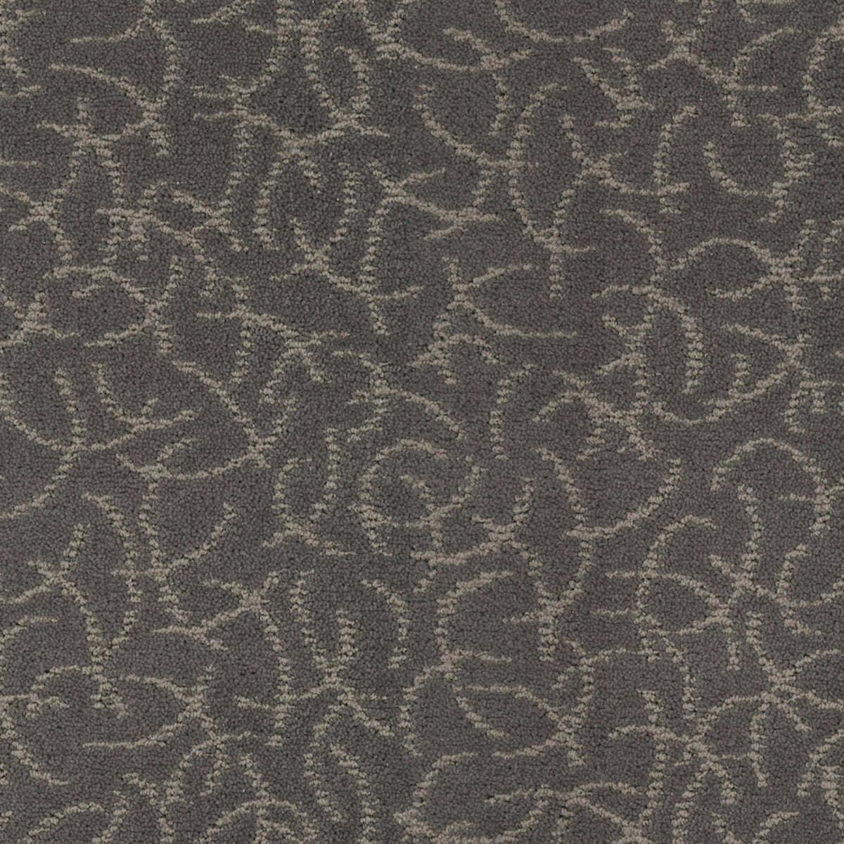 Altair in Constellation Carpet