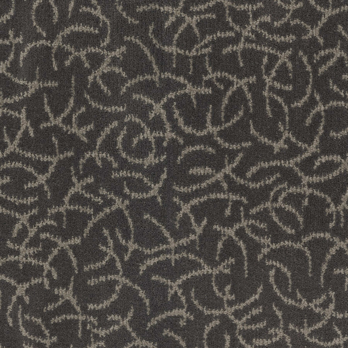 Altair in Comet Carpet