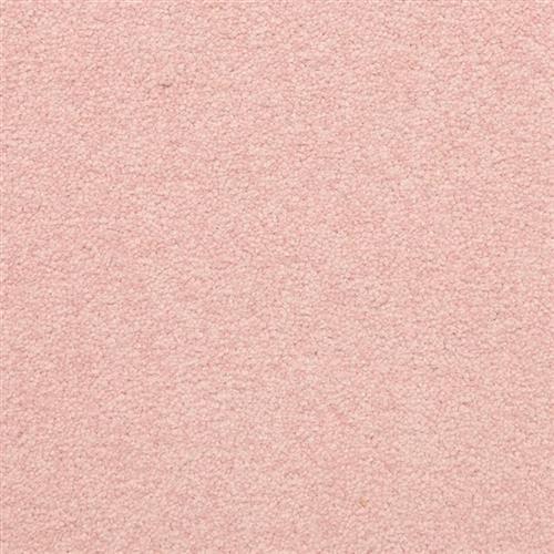 Patriot in Cotton Candy Carpet