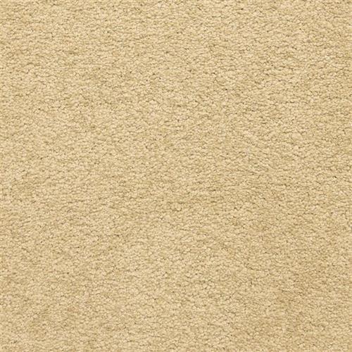 Knockout in Wheat Field Carpet