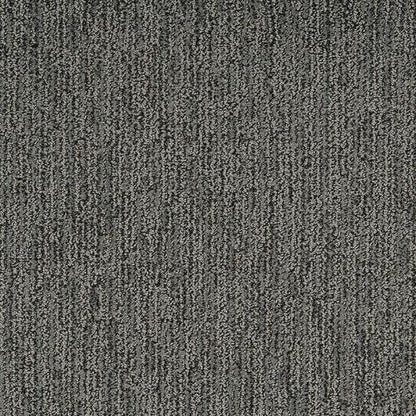 Mesa Bella in Carbon Carpet