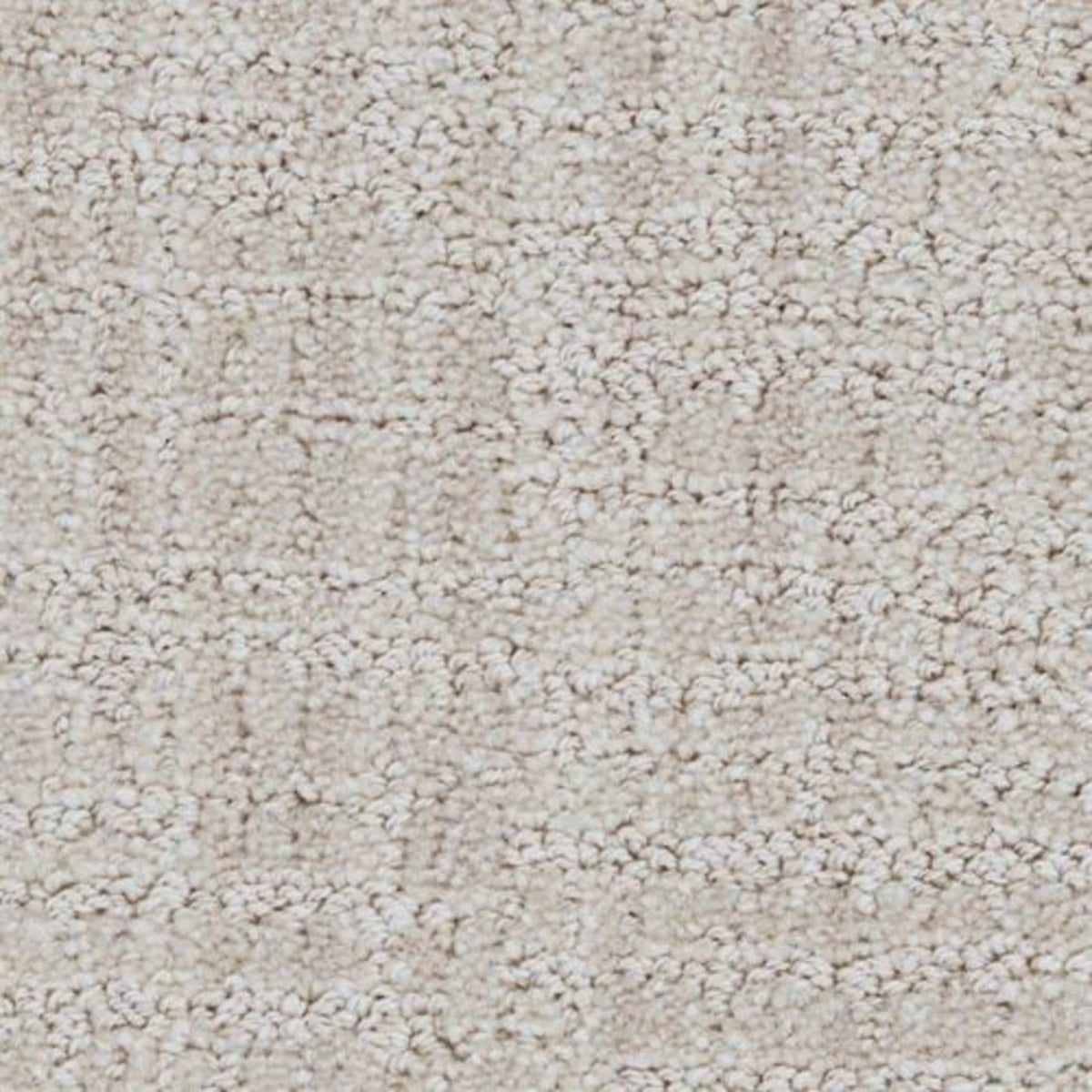 Grace in Polished Carpet