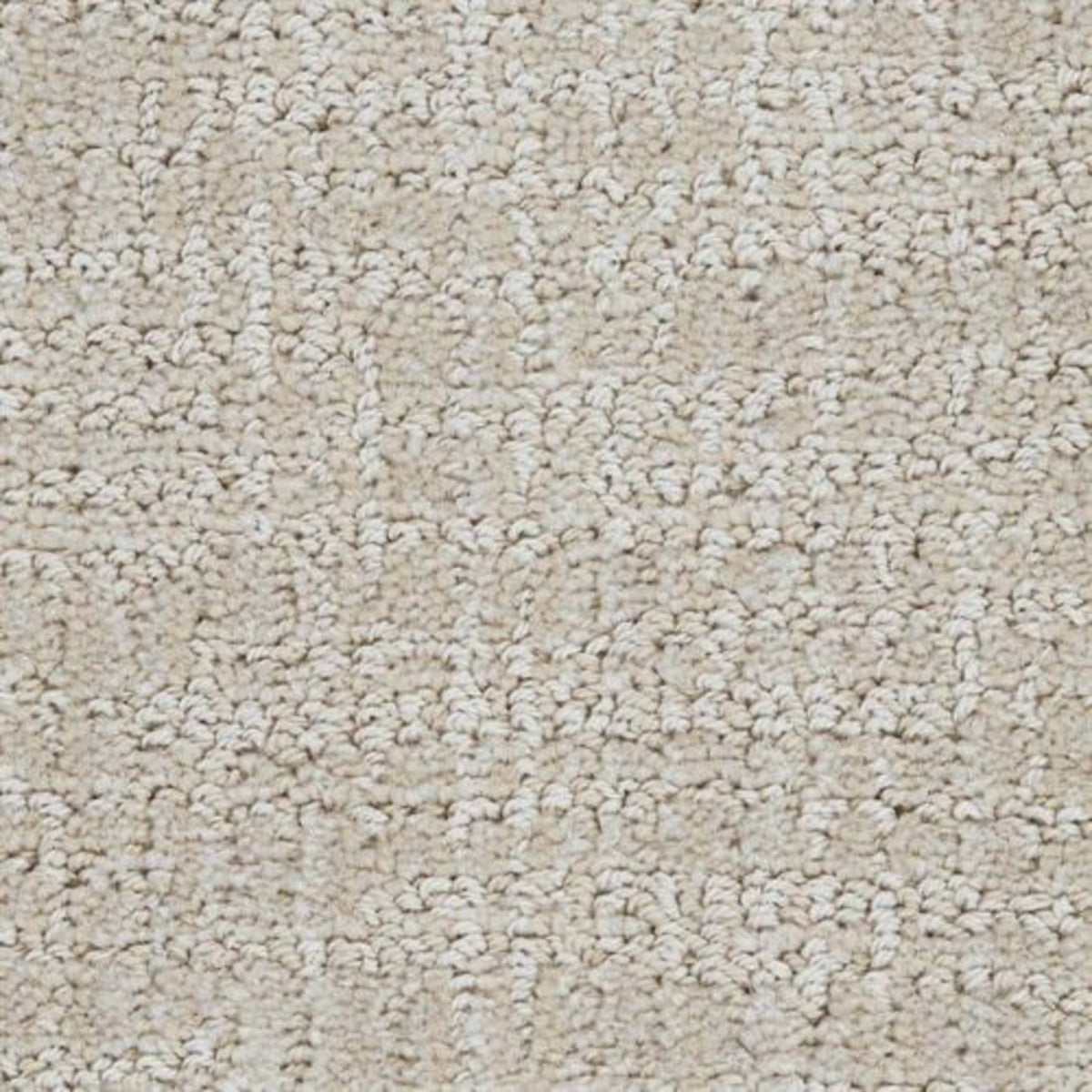 Grace in Chic Carpet