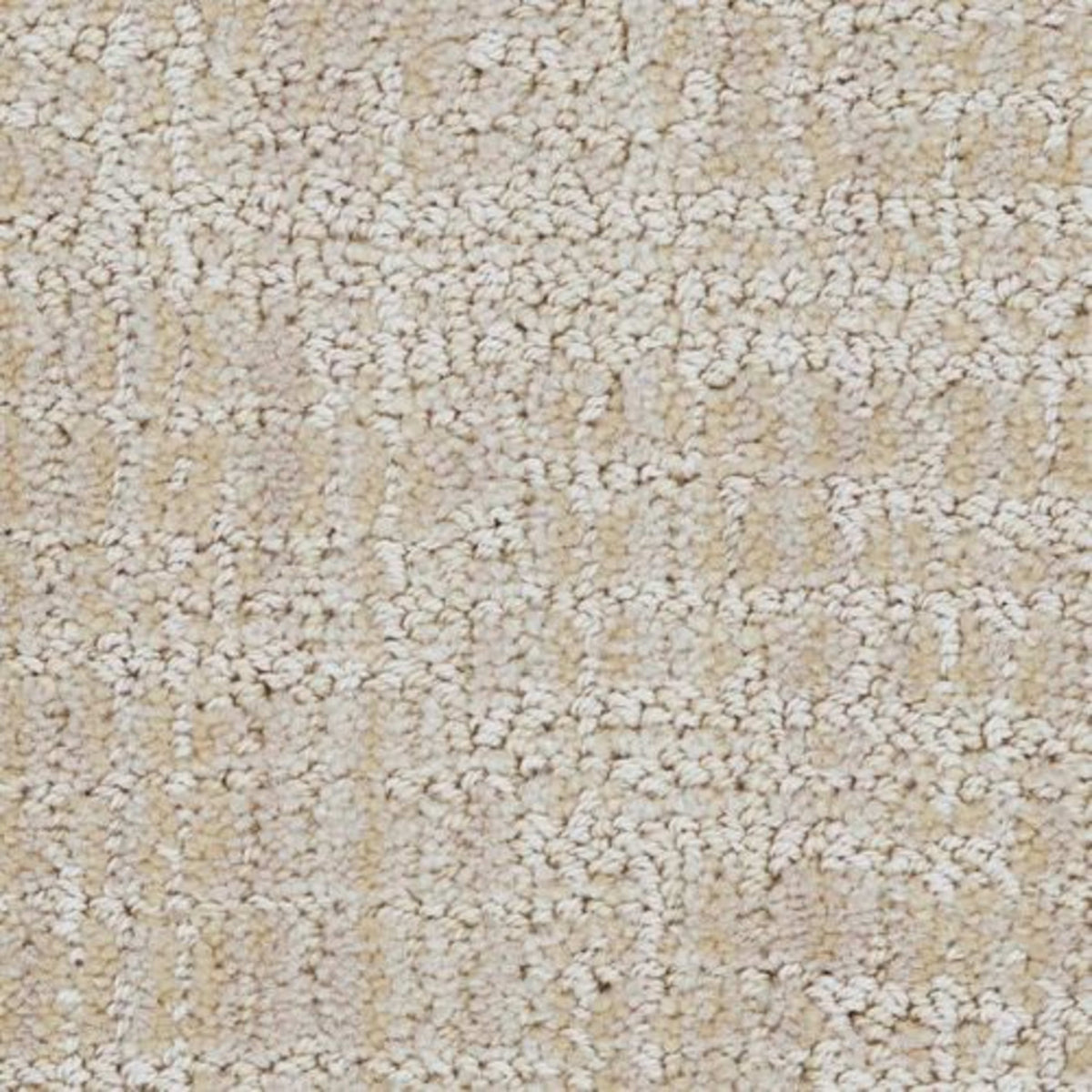 Grace in Distinct Carpet