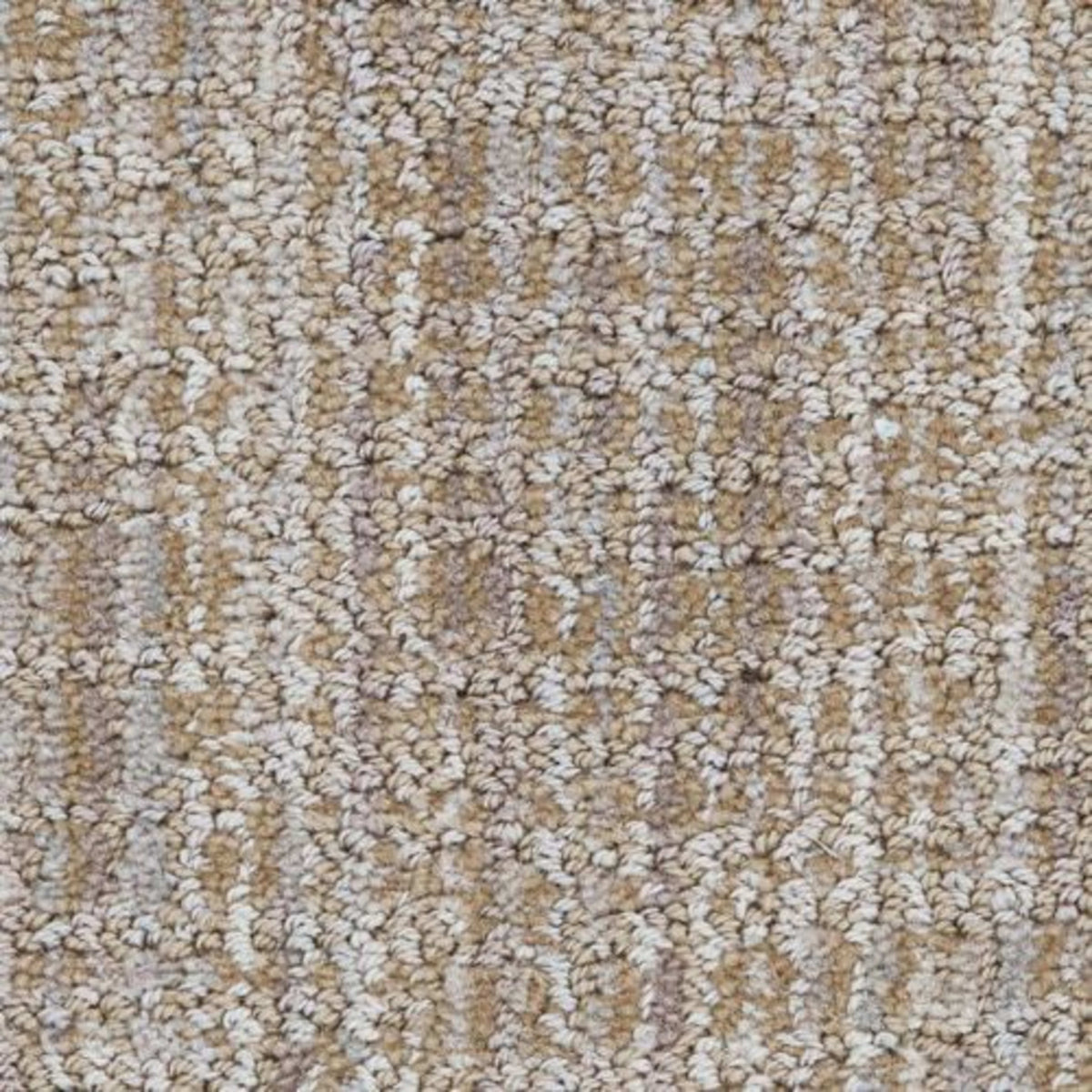 Grace in Stately Carpet