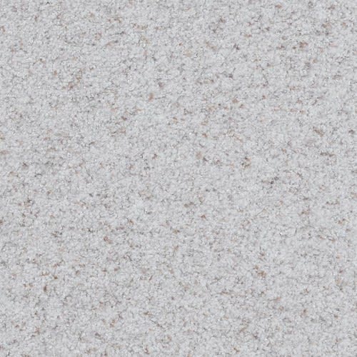 Boca Raton in Continual Carpet