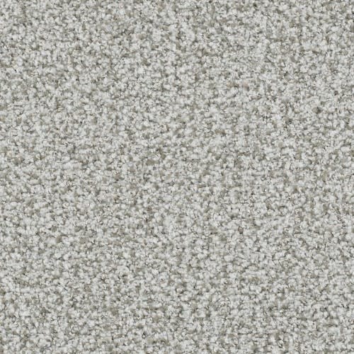 St. Augustine in Persistent Carpet