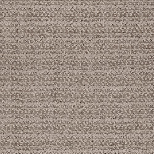 Beguiling in Sable Carpet