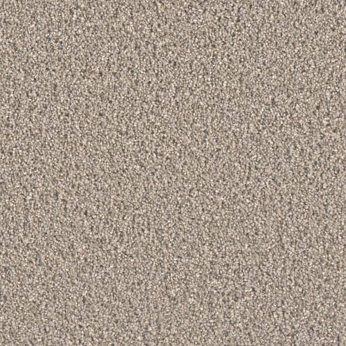 Brooklyn in Ash Carpet