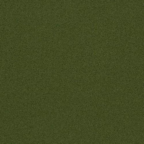 MULIGAN ELITE in Fg/Olive Green Carpet