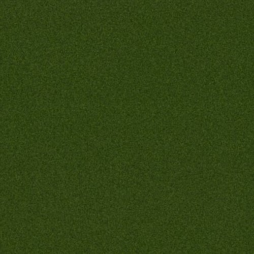 MULIGAN PRO in Fg/Lime Green Carpet