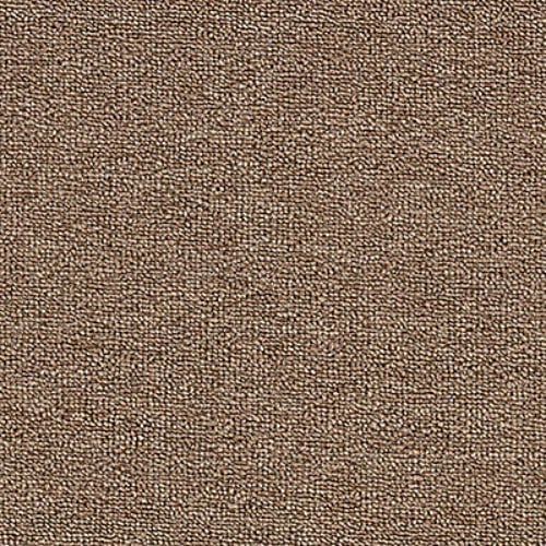 Rule Breaker 20 in Praline Carpet