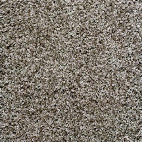 Avantgarde - Shaggy Luxe in Pebble Carpet