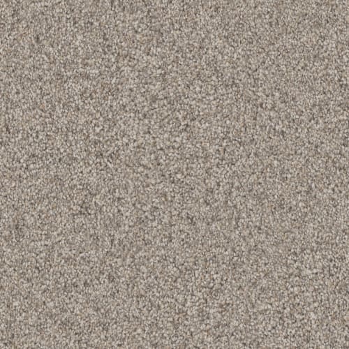 Adore in Granite Carpet