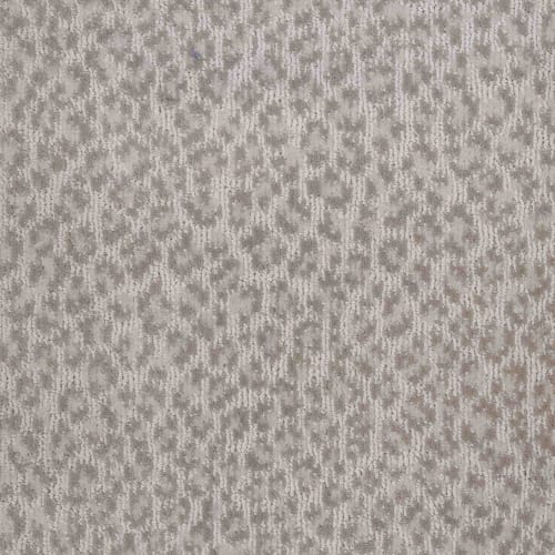 Adventure in Oyster Carpet