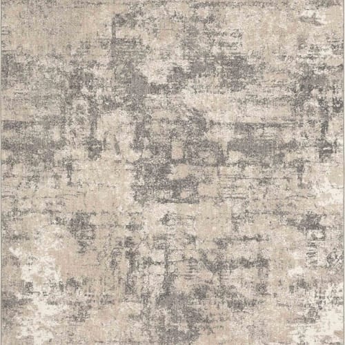Agusti Frost Grey in Frost Grey 2'4"x7'10" Area Rugs