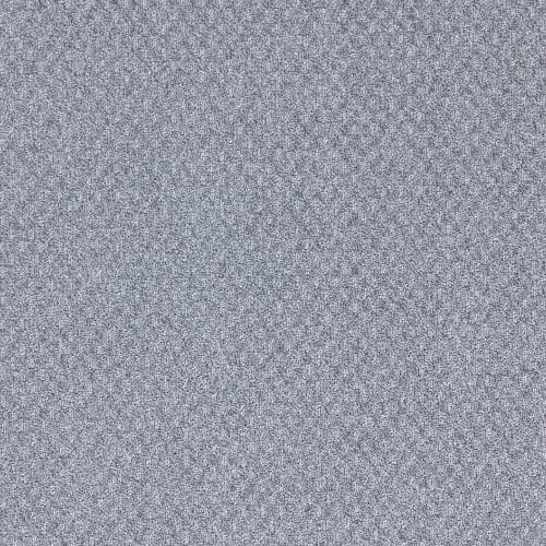 Ambience in Frosted Gray Carpet