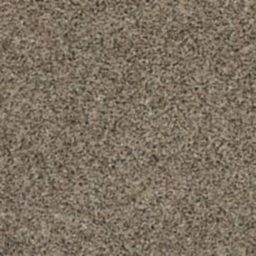 Roll With It in Ancient Coin Carpet
