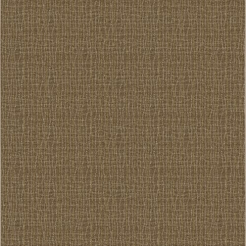 Backdrop - Buckskin in Buckskin Area Rugs