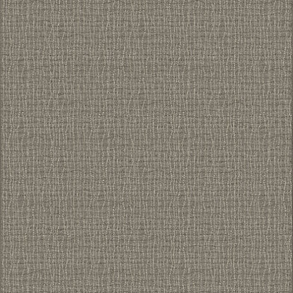 Backdrop - Graphite