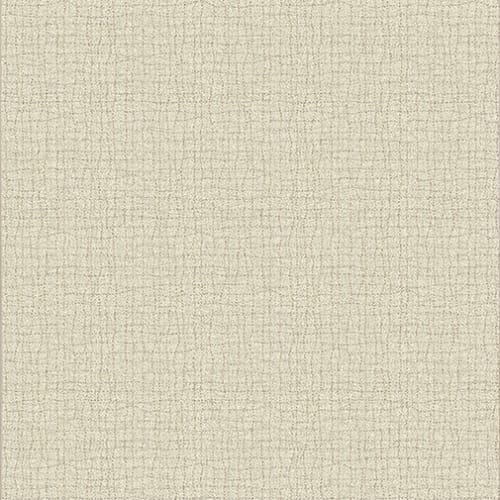 Backdrop - Natural in Natural Area Rugs