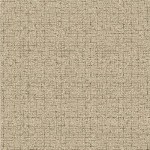 Backdrop - Wicker in Wicker Area Rugs