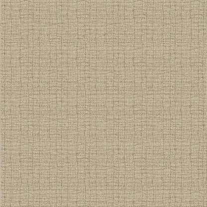 Backdrop - Wicker