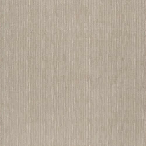 Basis - Canvas in Canvas Area Rugs