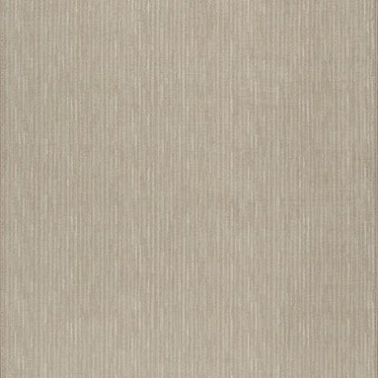 Basis - Canvas