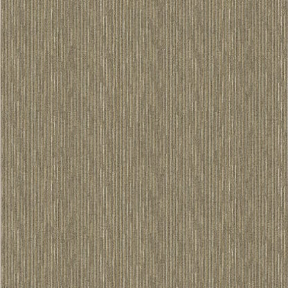 Basis - Chamois