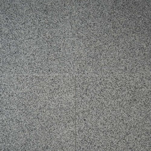Bianco Catalina in Bianco Catalina - 12x12 Natural Stone
