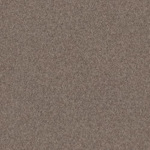 Ackerman in Castle Carpet